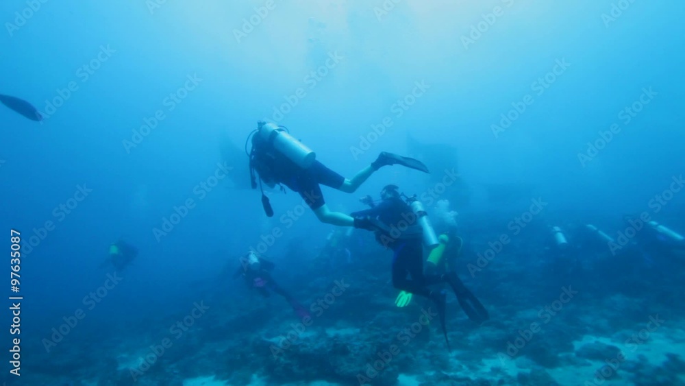 Group of Scuba Divers Meets Manta Rays, Maldives Group of Scuba Divers Meets Manta Rays, Maldives