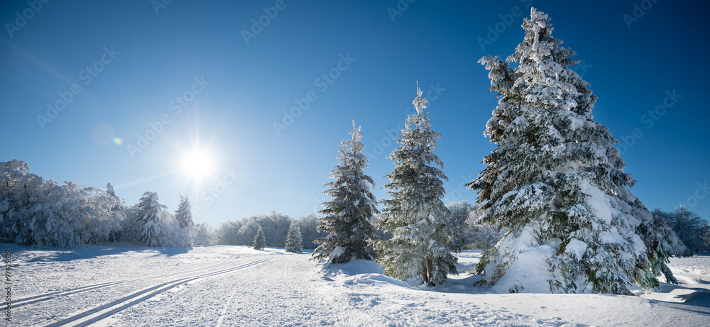 Fototapeta premium Paysage d'hiver panoramique 2