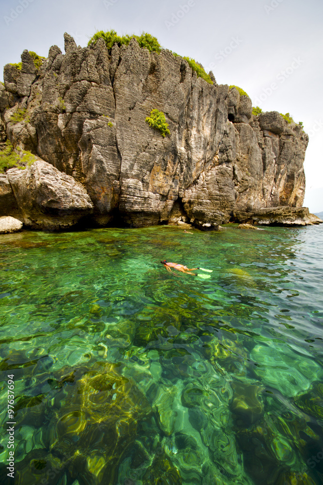asia the kho phangan isles bay thailand swimming snorke asia the kho phangan isles bay thailand swimming snorke