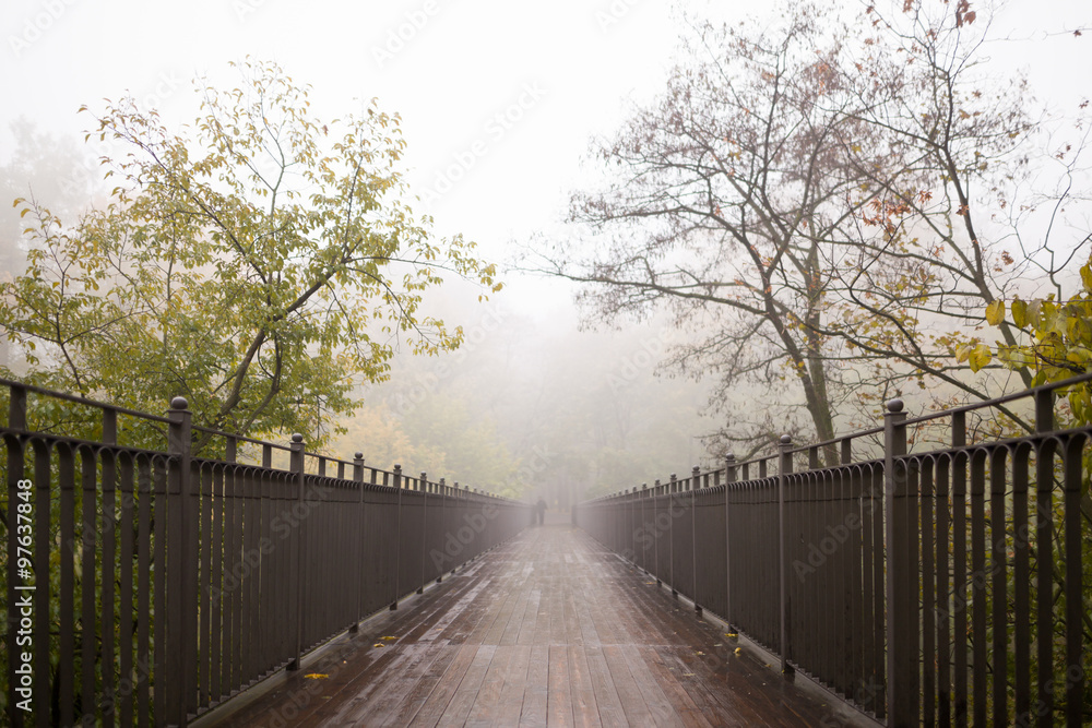 Gomel / Belarus - October 23, 2015: Morning. walk in the park Lu