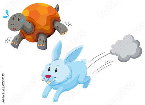 Turtle and rabbit racing