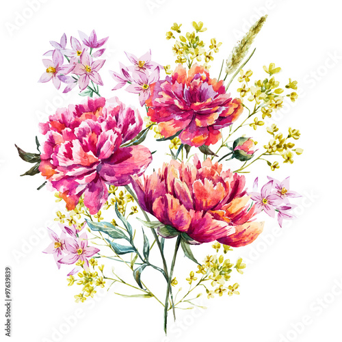 Watercolor vector peony