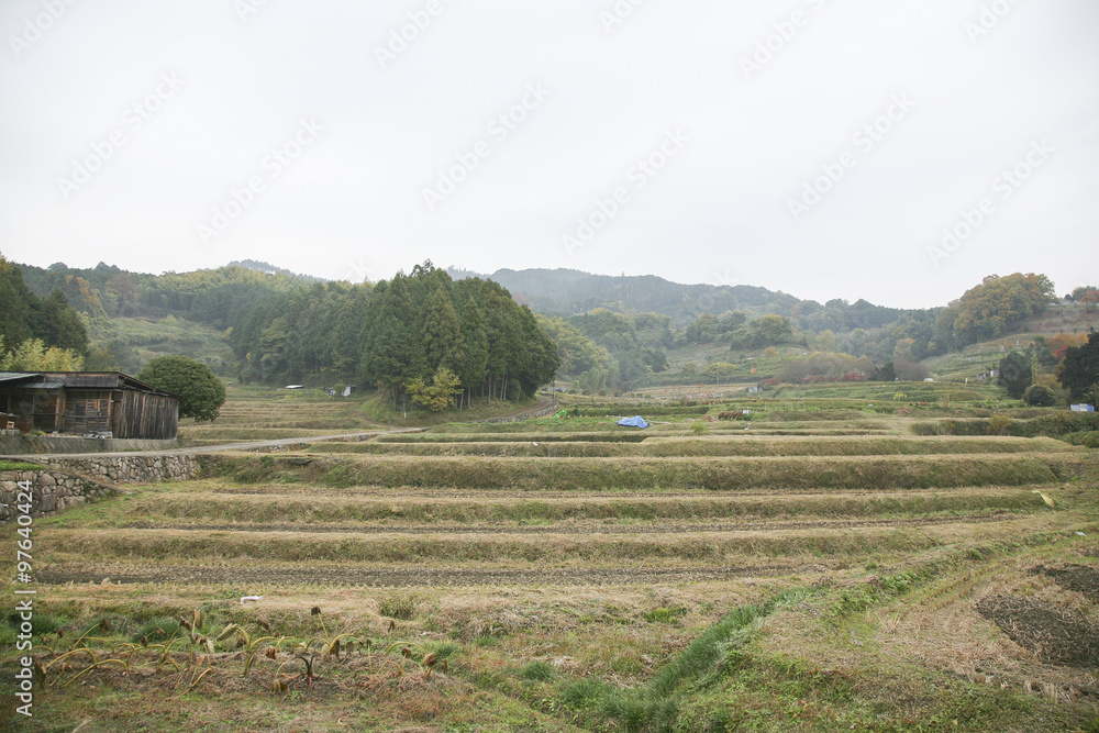Landscape photographs of countryside in Nara, Japan, in Autumn Landscape photographs of countryside in Nara, Japan, in Autumn