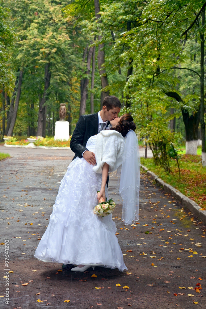 Happy wedding couple. Bride and Groom kissing in the park 