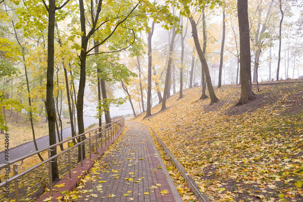 Gomel / Belarus - October 23, 2015: Morning. walk in the park Lu Gomel / Belarus - October 23, 2015: Morning. walk in the park Lu