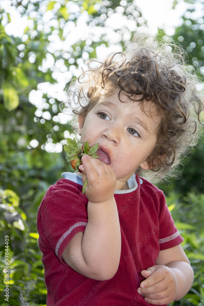 In summer the garden a little curly girl eats strawberries. In summer the garden a little curly girl eats strawberries.