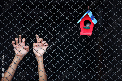 hand in jail with colorful bird house outside