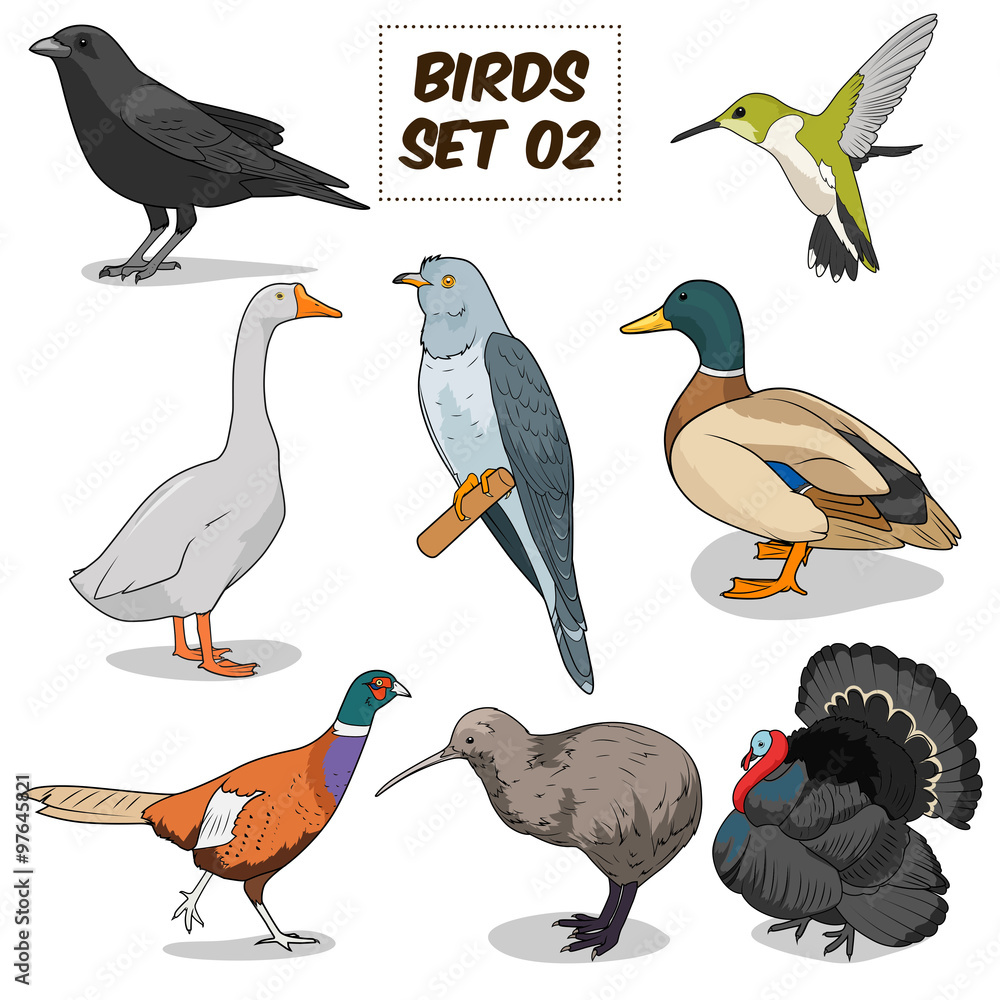Fototapeta premium Bird set cartoon colorful vector illustration