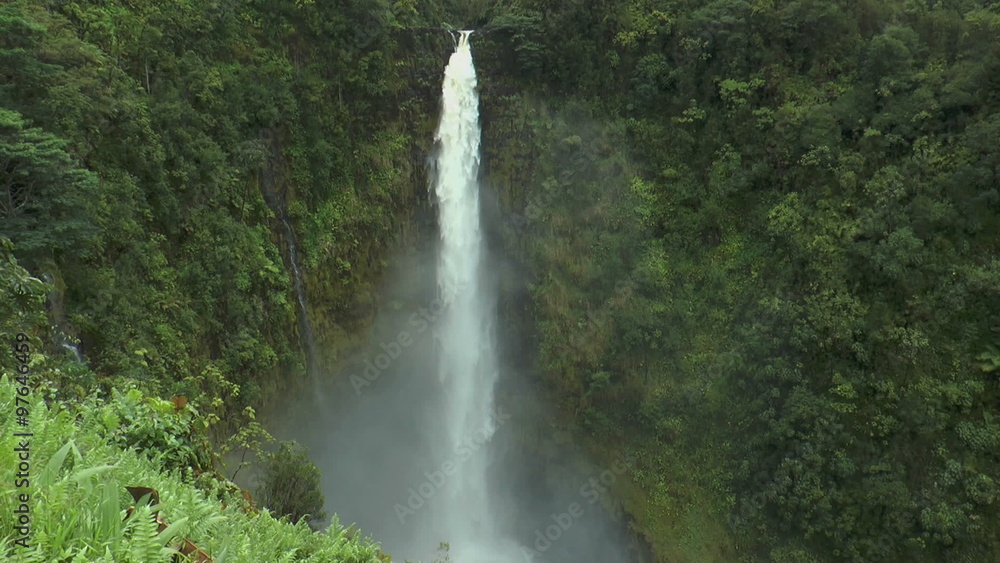 Alaka Falls Big Island Hawaii total view from top to bottom Alaka Falls Big Island Hawaii total view from top to bottom