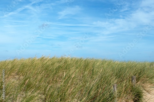 Spiaggia selvaggia