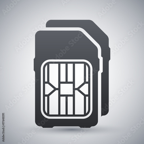 Dual SIM cards icon, vector