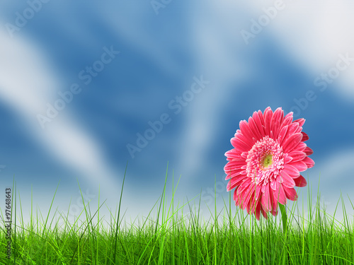 Conceptual pink flower in green grass