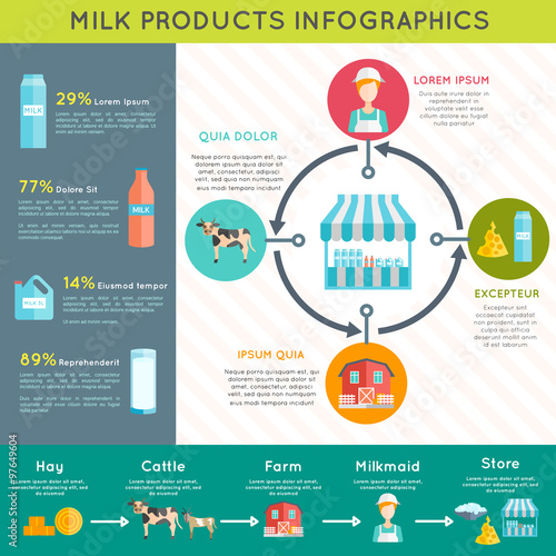 Milk dairy products infographic layout poster
