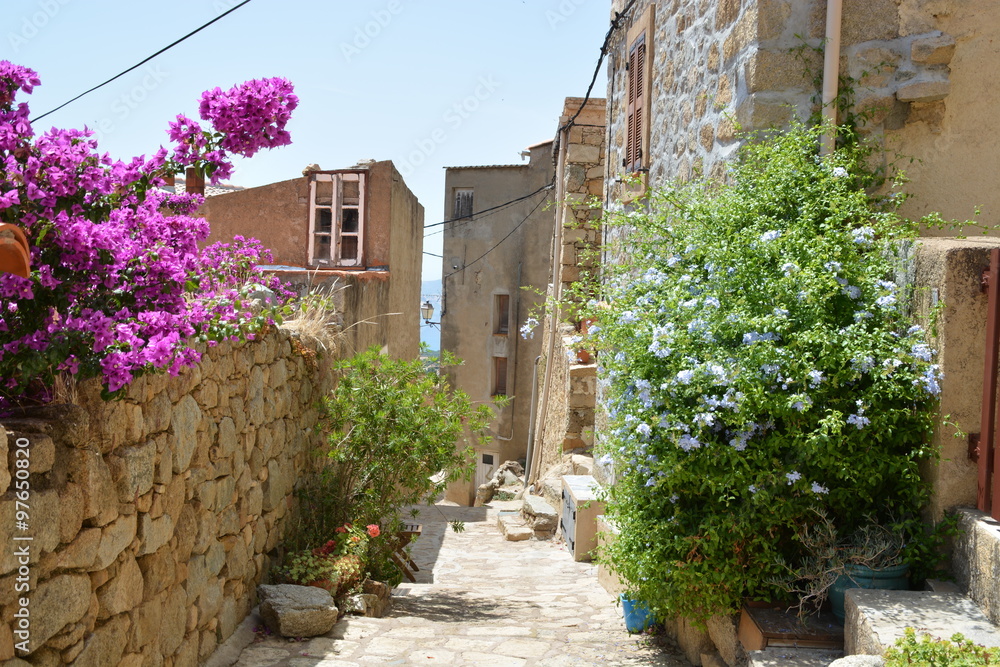 village de Lumio, Haute Corse