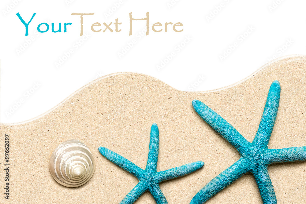 Sea shells on sand. Summer beach background. Top view