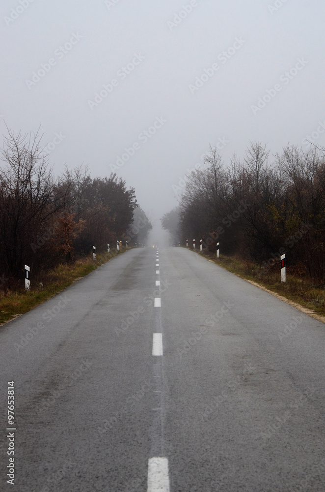 Fog on the road