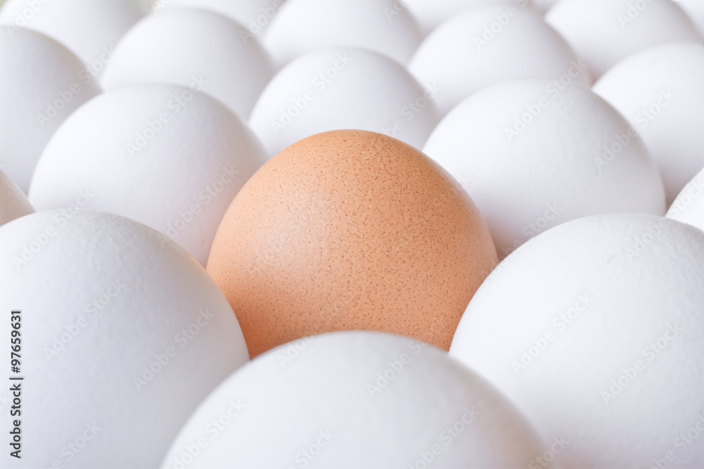 Background with many white and one brown fresh chicken egg Background with many white and one brown fresh chicken egg