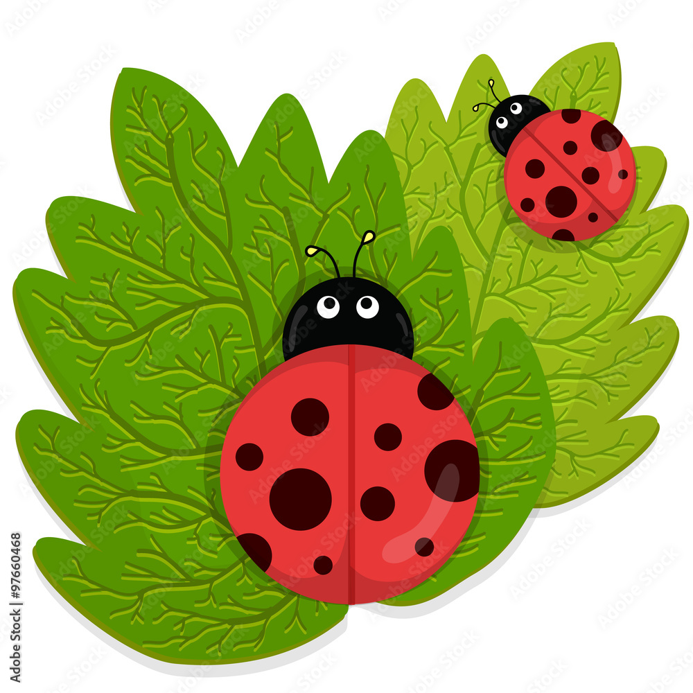 Naklejka premium Ladybug on green leaf