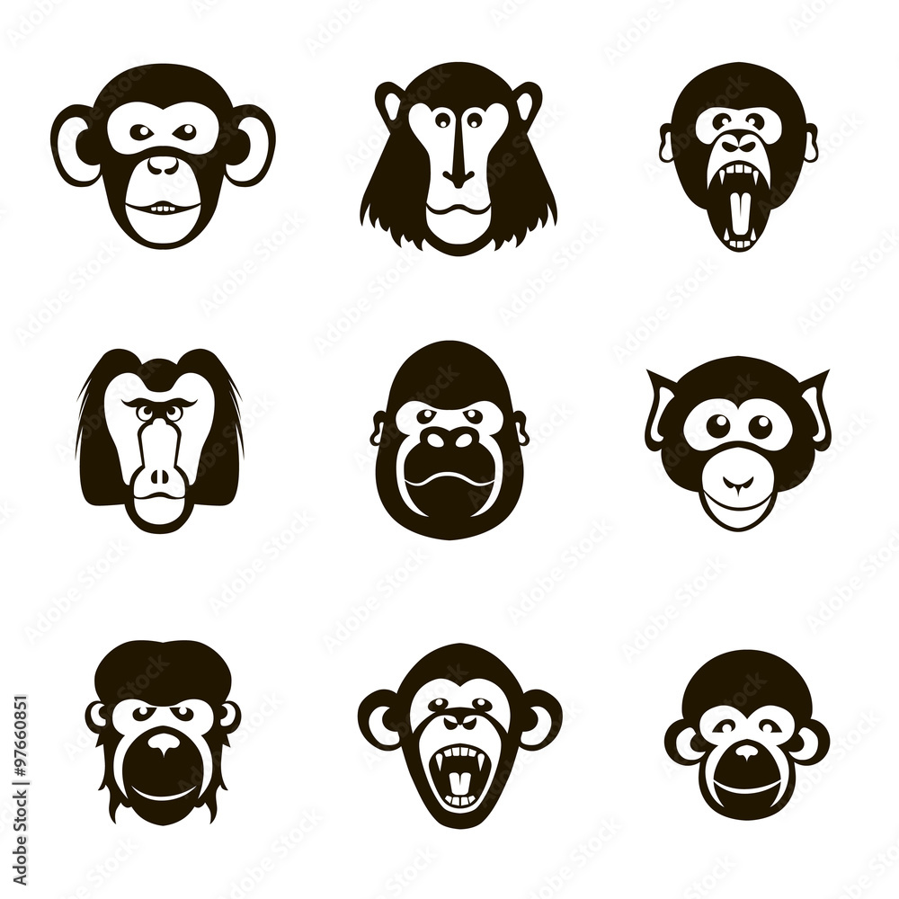 Fototapeta premium 9 vector icons monkeys