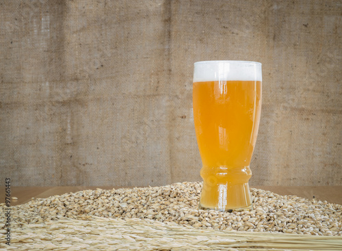 Glass of beer on malt grains