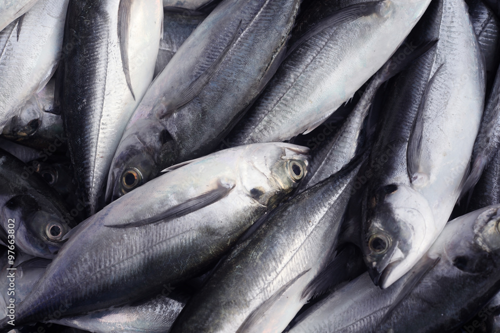 Obraz premium fresh fish as background.