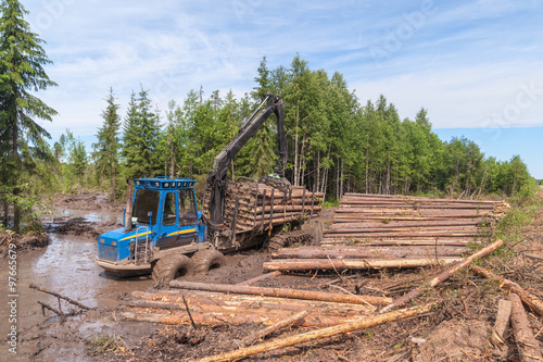 Tree crop harvester stands in liquid mud near timber store in taiga. Arkhangelsky region  Russia.  