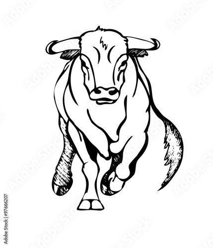 bull attacks  stylized vector illustration