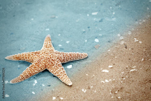 Beautiful starfish on sandy beach