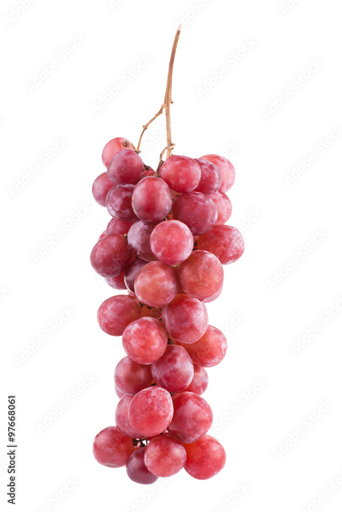 Fototapeta premium grapes isolated on over white background