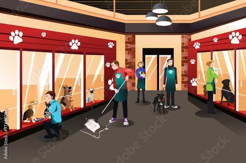 People Working in Animal Shelter