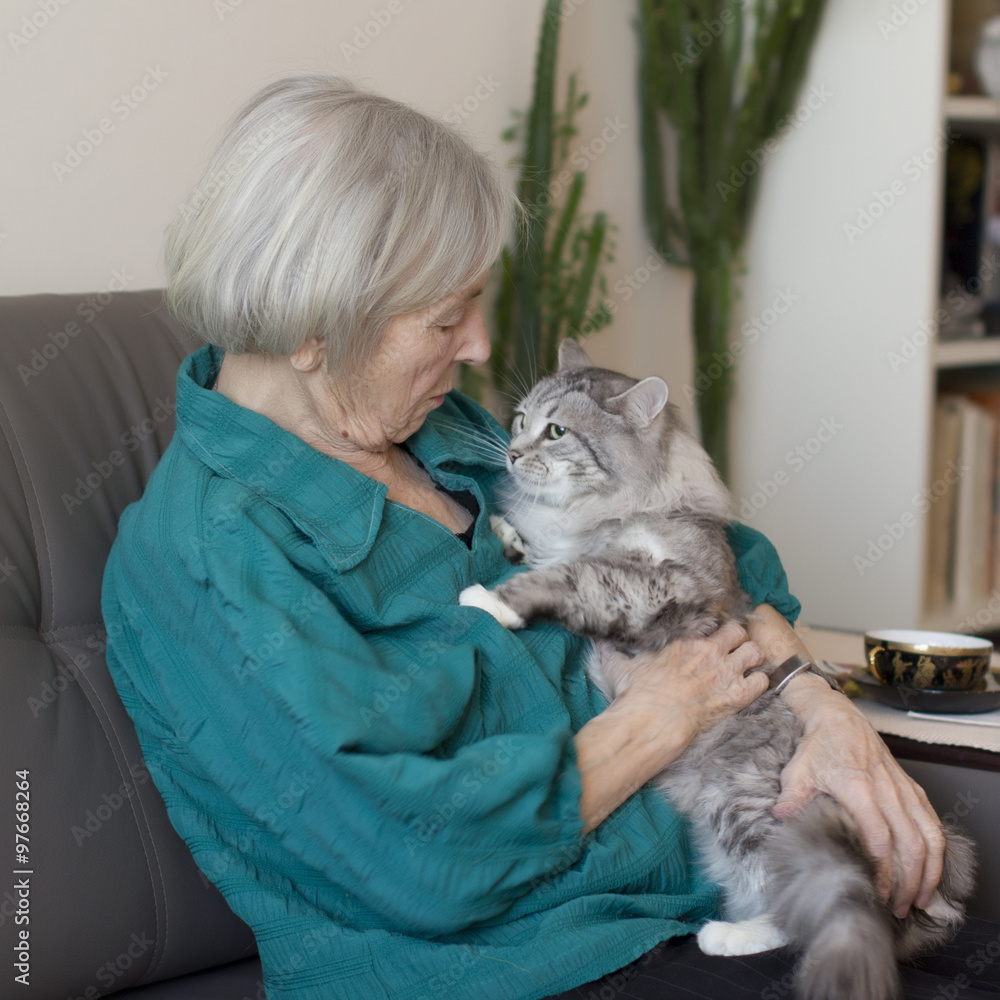 Пожилая кошка. Grandmothers cat. Grandmothers cat. Бабка с кошками в квартире. Старуха с кошками.