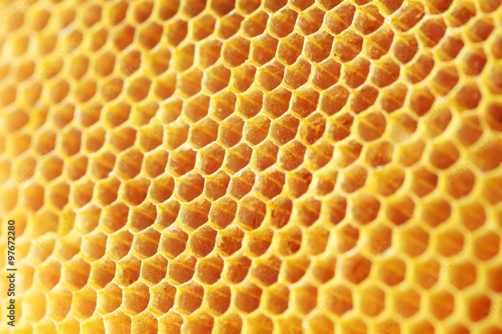 golden color honey comb as background.