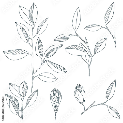 Vector branches with leafs.
