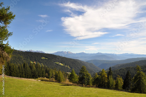 Bergwiese mit Wald und Dolomiten