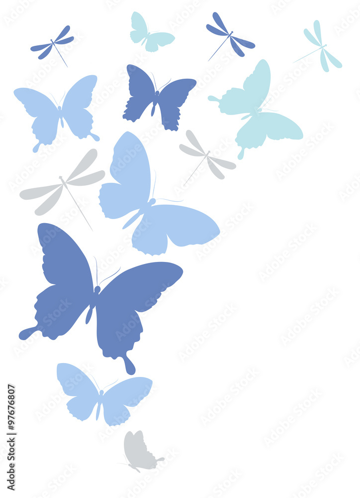 butterflies design butterflies design
