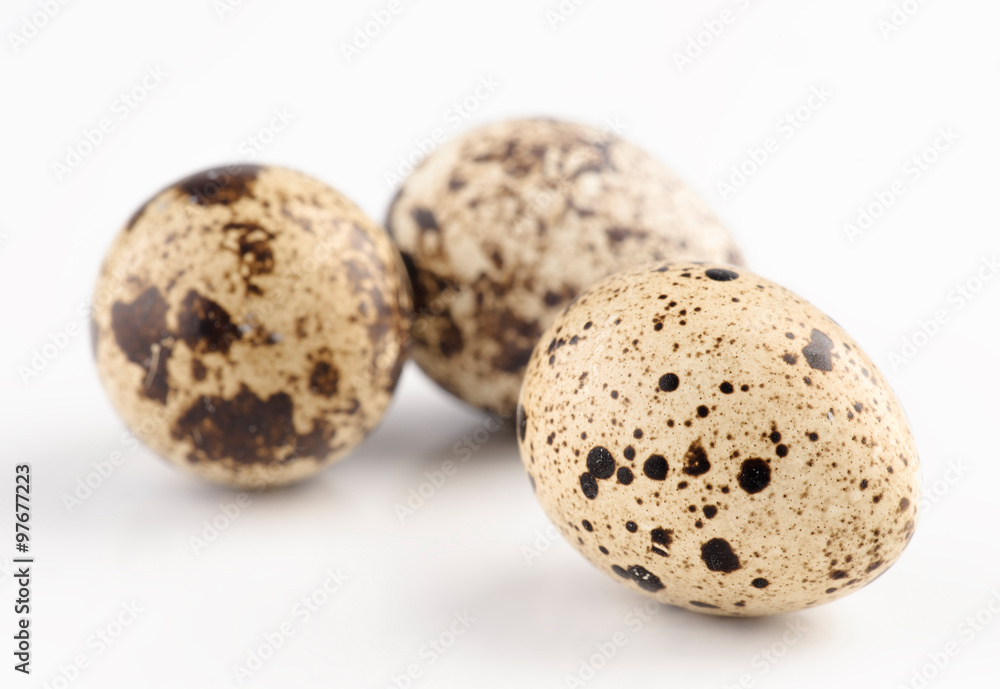 group of fresh quail eggs group of fresh quail eggs