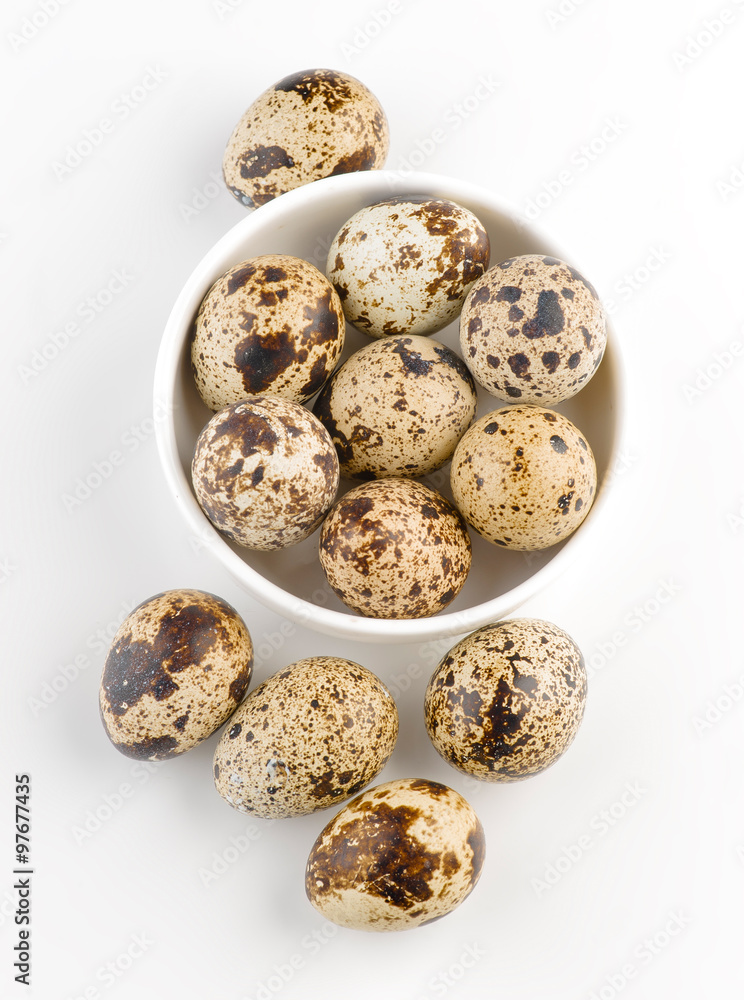 bowl of fresh quail eggs bowl of fresh quail eggs