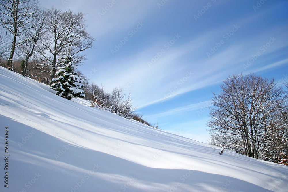 winter snow covered hill in the woods winter snow covered hill in the woods