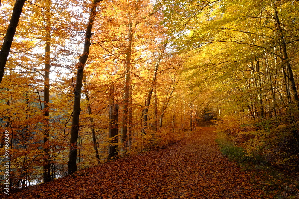 Fototapeta premium Nördlicher Steigerwald im Herbst, Unterfranken, Bayern, Deutsch