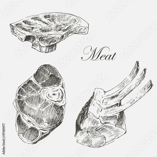 vector steak meat hand drawing with pepper and rosemary. detailed ink food illustration