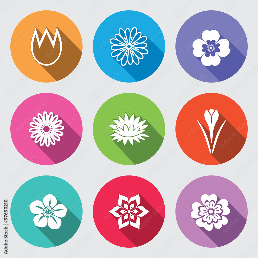Botany flower set. Tulip camomile daisy petunia chrysanthemum orchid forget-me-not lily, water-lily crocus saffron. Floral herbs symbol. Round blue icons with long shadow. Vector Botany flower set. Tulip camomile daisy petunia chrysanthemum orchid forget-me-not lily, water-lily crocus saffron. Floral herbs symbol. Round blue icons with long shadow. Vector
