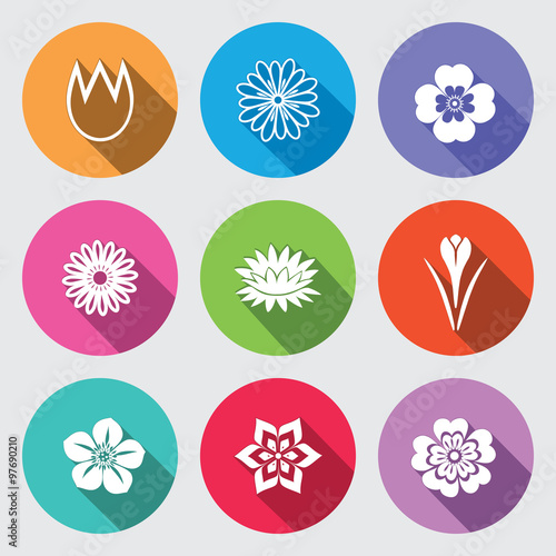 Botany flower set. Tulip camomile daisy petunia chrysanthemum orchid forget-me-not lily  water-lily crocus saffron. Floral herbs symbol. Round blue icons with long shadow. Vector