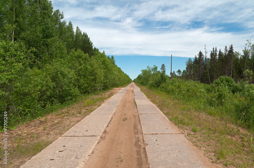 Straight road made of concrete pavement plates surrounded by green forest recedes into the distance under cloudscape blue sky.
Straight road made of concrete pavement plates surrounded by green forest recedes into the distance under cloudscape blue sky.