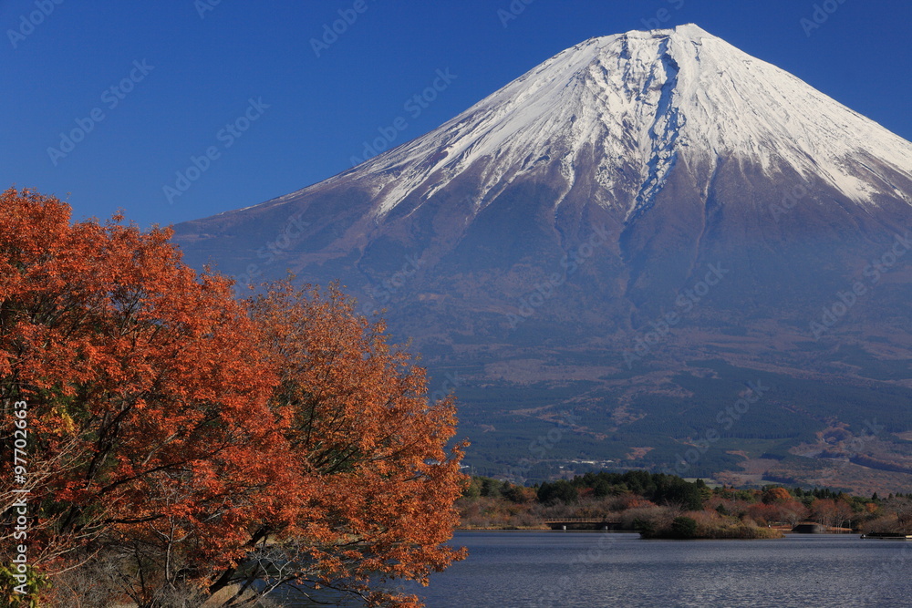 晩秋の田貫湖からの富士山