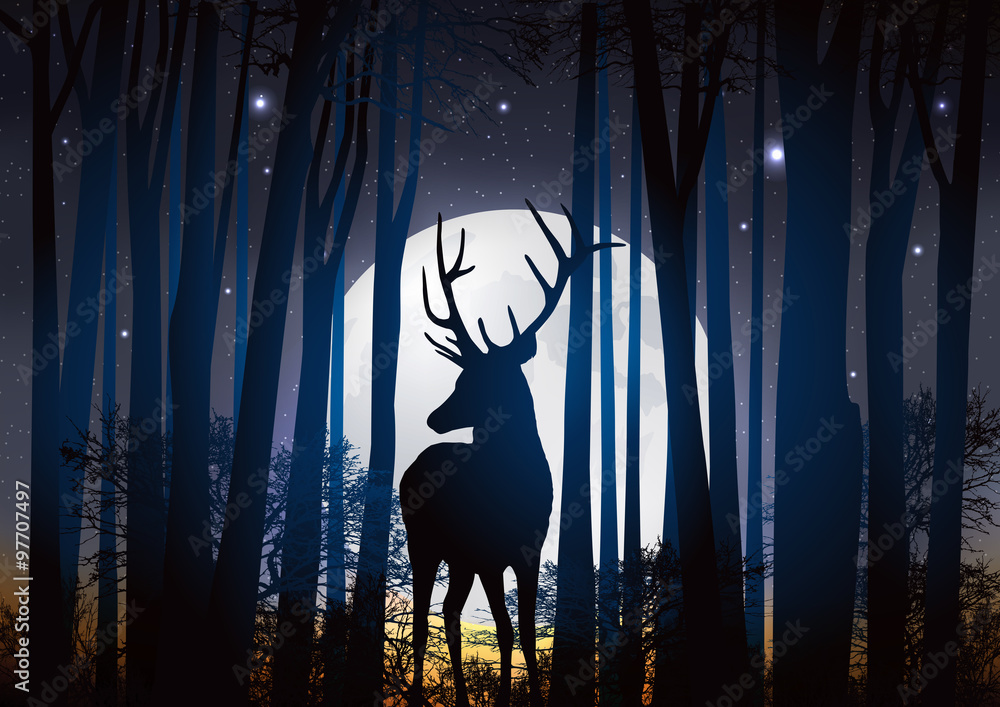 Obraz premium Cerf_Lune Foret