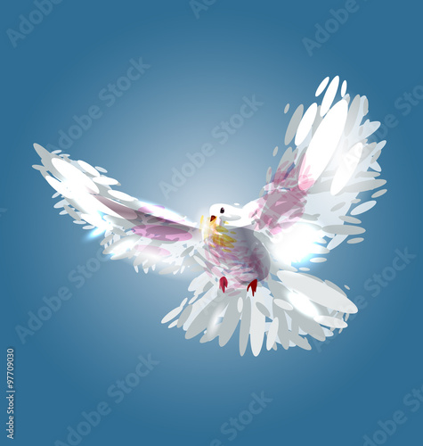 Vector illustration of a dove