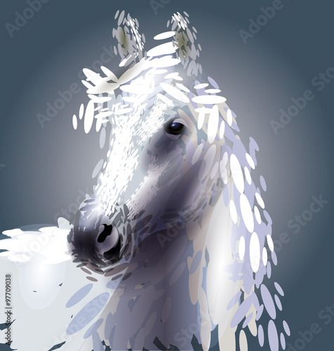 Vector illustration of a horse's head