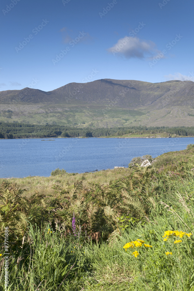 Fototapeta premium Lough Currane, Waterville