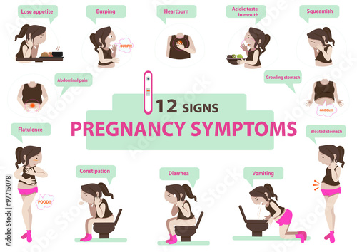 pregnancy symptoms signs of pregnancy  Infographic.vector illustration