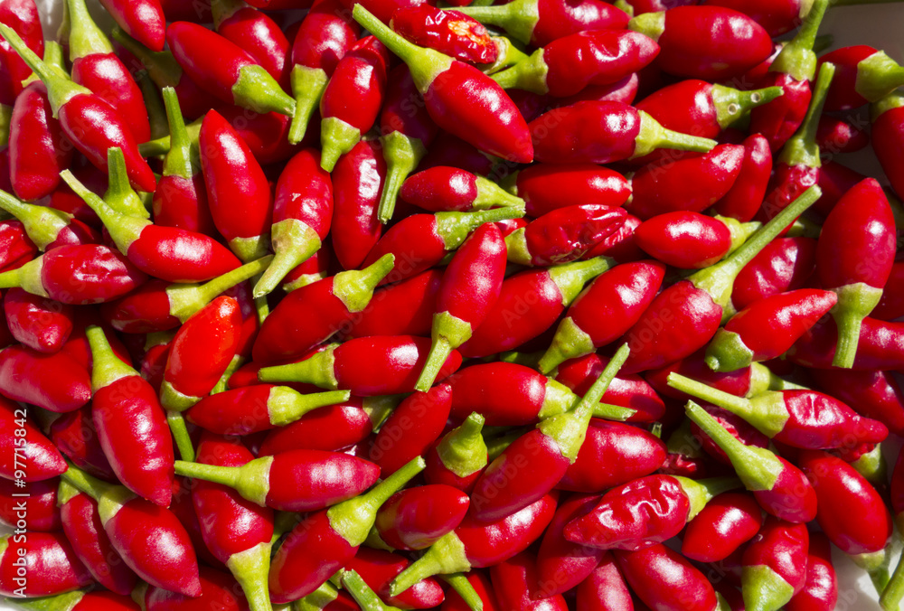Red Hot Chili peppers Red Hot Chili peppers